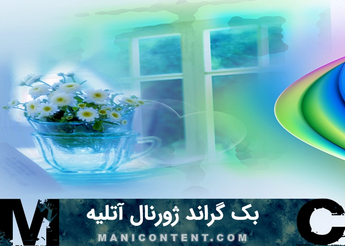 بک گراند تک برگ گل بابونه ژورنال آتلیه عروس داماد Single chamomile flower page from bridal studio album